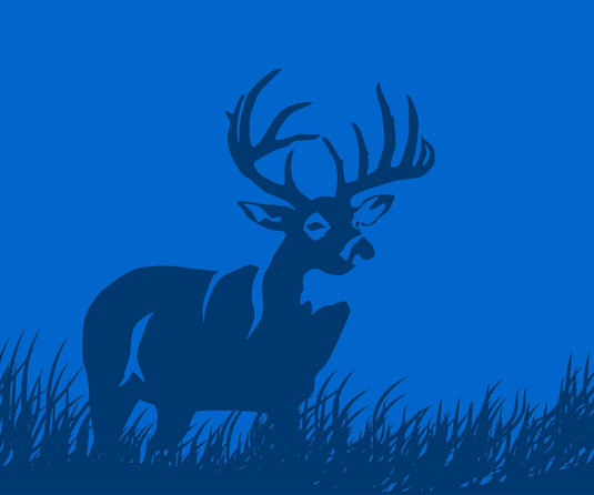 Expert's Choice: Deer Pursuit Premier