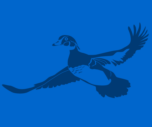 "Supreme Fowl: Waterfowl Pursuit Premier