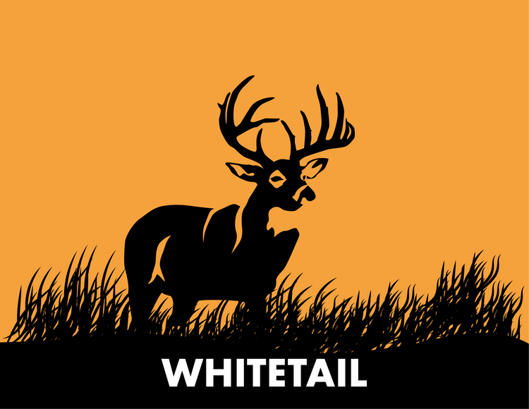 Whitetail Mega Box